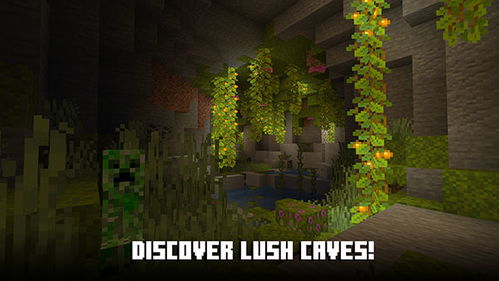 minecraft国际版1.21国际版下载新版安装包-minecraft国际版1.21免广告下载v.5.54 minecraft国际版1.21国际版下载新版安装包-minecraft国际版1.21免广告下载v.5.54