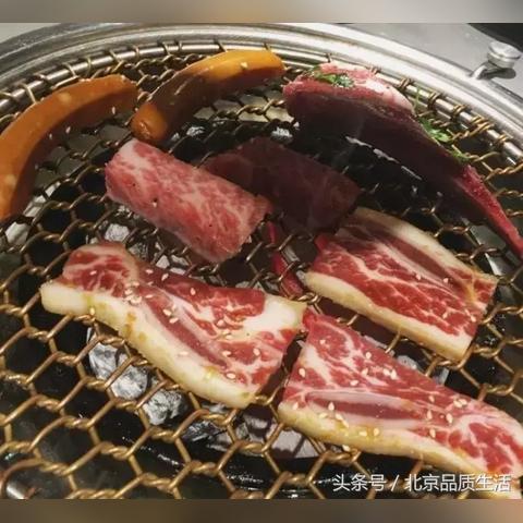 (疯狂小动物图片)疯狂小动物游戏：挑战你的反应和策略，快来加入这场狂欢！