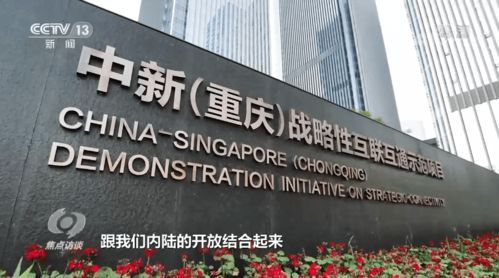 新奥门免费资料大全历史记录查询网站|未来科技探索之旅_尊享版.3.551