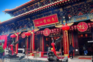 黄大仙论坛澳门正版资料|探索古镇风情与美食之旅_发行款.6.85