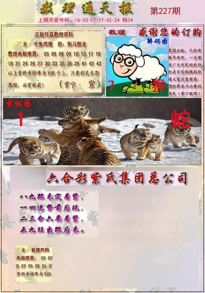 今晚最准四不像图144期|科学数据解释落实_冒险版WSAP.2.203