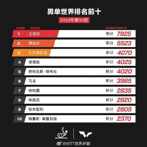2024年新澳门天天开奖免费查询|精细分析解释落实_D.3.280