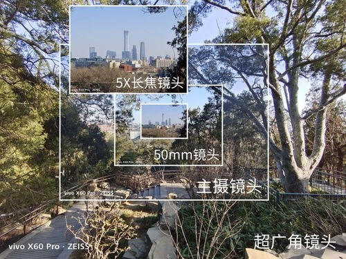 天下彩入口处|探索未来科技的无限可能_挑战款.6.205