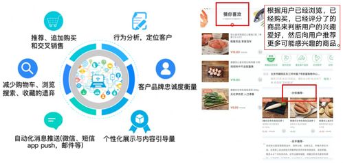 2024新澳门精准免费大全拼多多|经典理论与实践的完美结合_网页版3.266